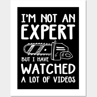 I'm Not an Expert But I Have Watched a Lot of Videos Posters and Art